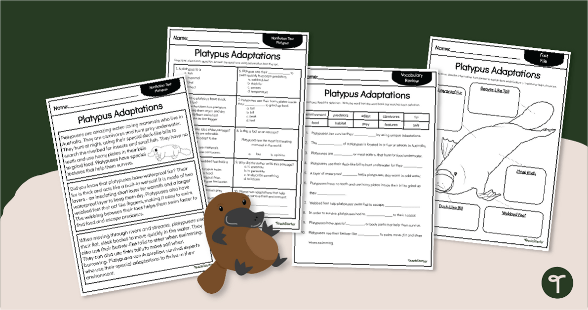 Platypus Adaptations - Reading Passage & Questions teaching resource