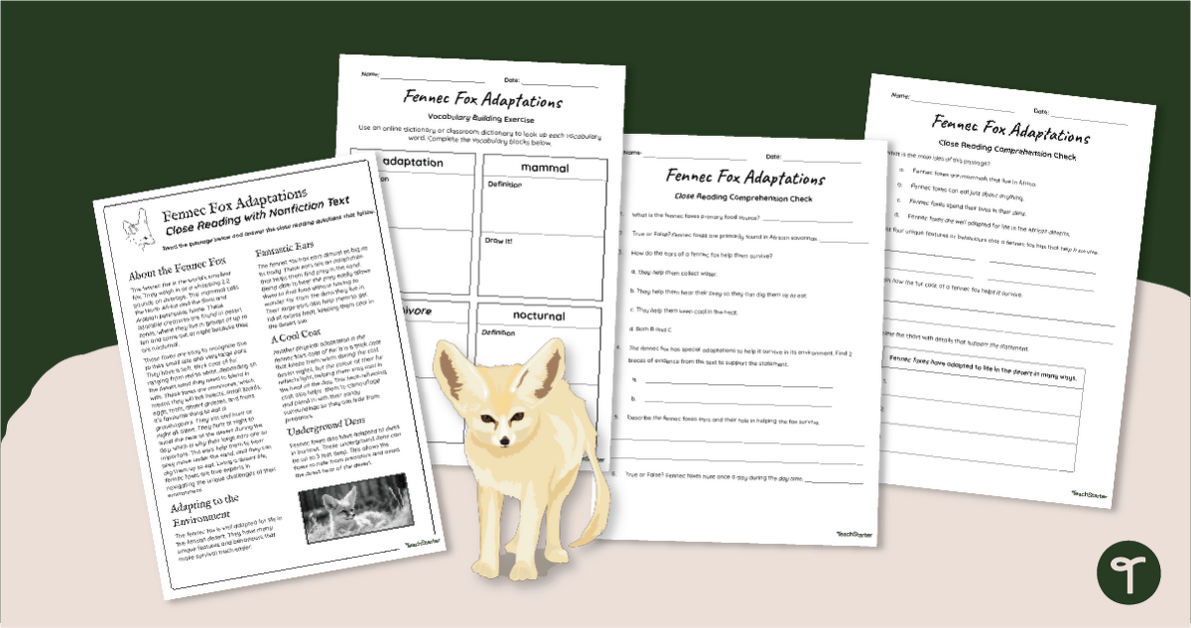 Fennec Fox Adaptations - Close Reading Worksheets teaching resource
