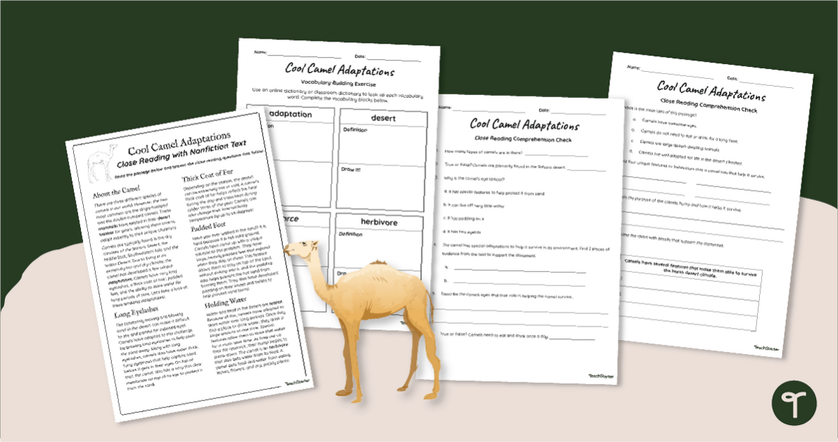 Camel Adaptations - 5th Grade Reading Worksheets teaching resource