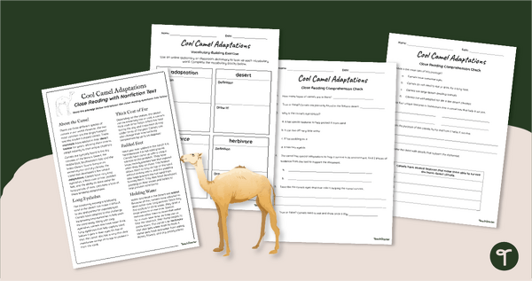 Go to Camel Adaptations - 5th Grade Reading Worksheets teaching resource