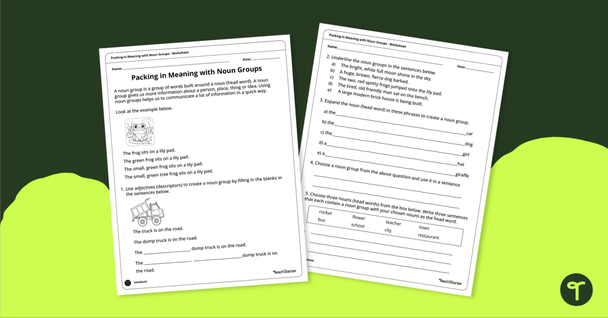 Packing in Meaning with Noun Groups Worksheet teaching resource