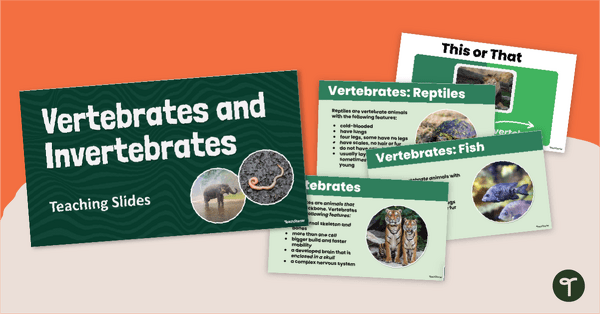 Go to Vertebrates and Invertebrates Teaching Slides teaching resource