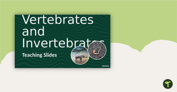 Vertebrates and Invertebrates Teaching Slides teaching resource