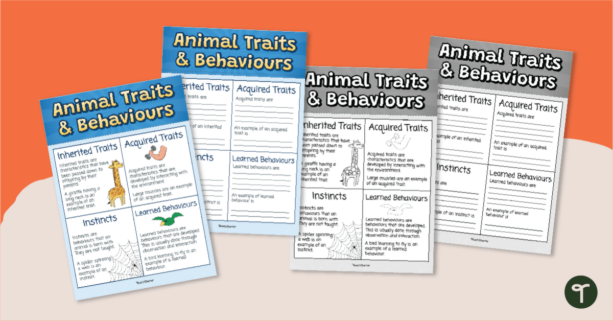 Animal Traits and Behaviours Anchor Chart teaching resource