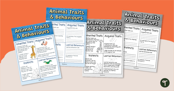 Go to Animal Traits and Behaviours Anchor Chart teaching resource
