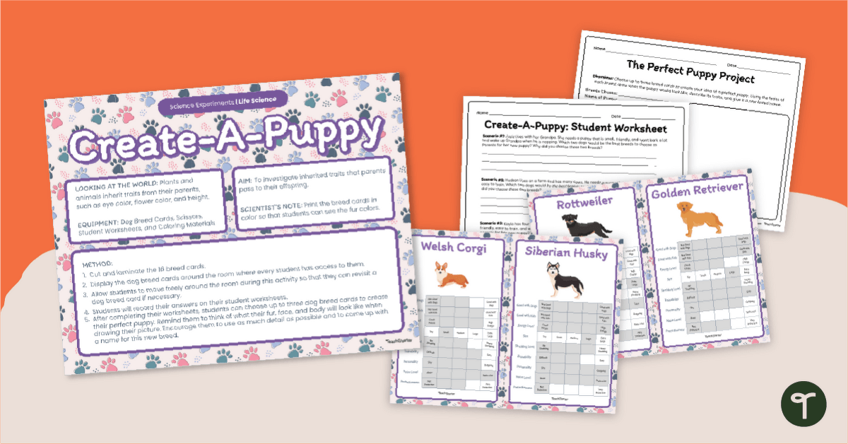 Design the Perfect Dog Breed  - Animal Traits Project teaching resource