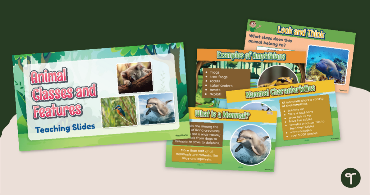 Classification of Animals - Teaching Slides teaching resource