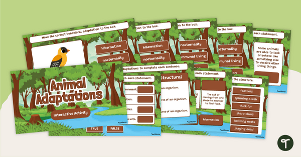 Go to Animal Adaptations Digital Learning Activity Slides teaching resource