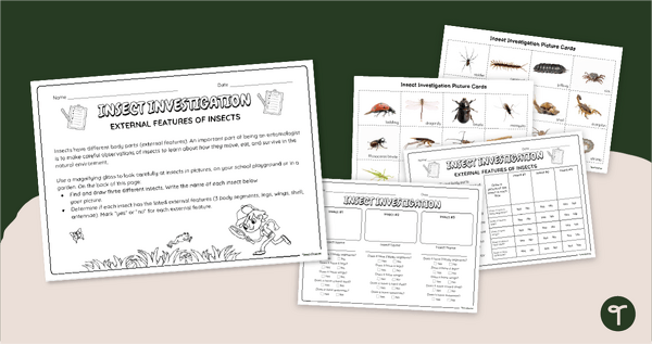 Go to Insect Investigation - Parts of an Insect Activity teaching resource
