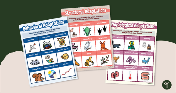 Go to Animal Adaptation Examples – Anchor Chart Set teaching resource