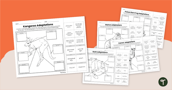 Go to Animal Adaptations for Kids - Worksheet Pack teaching resource
