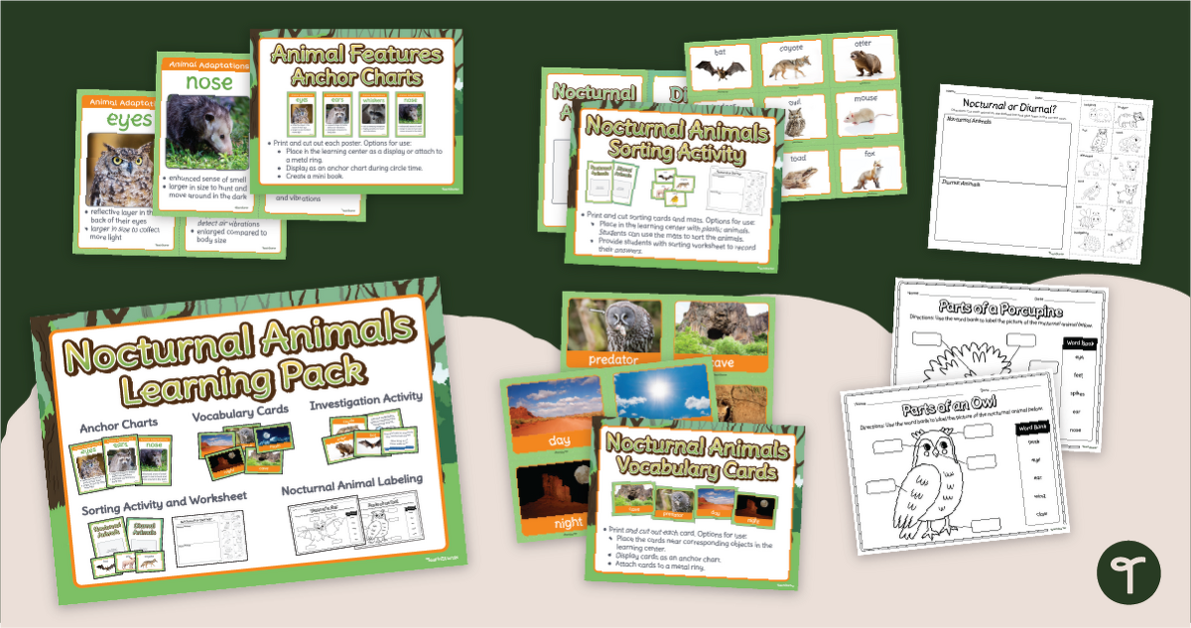 Nocturnal Animals Activity Pack teaching resource