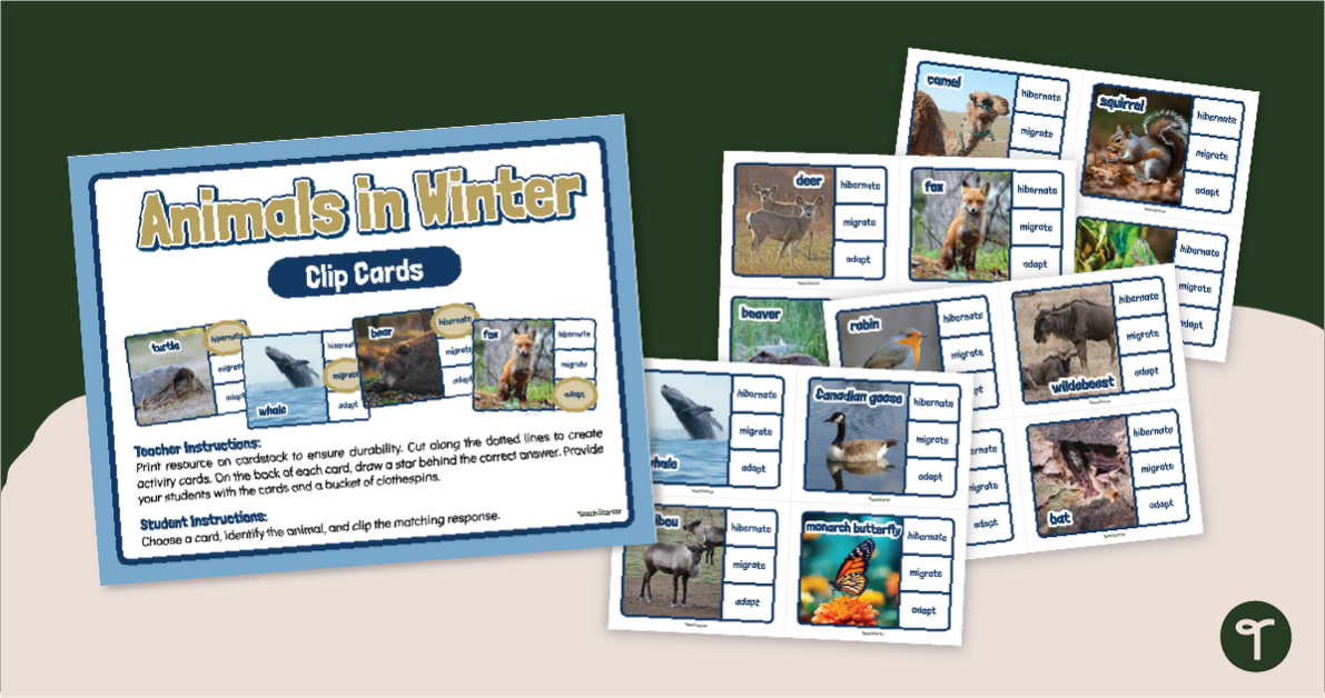 Winter Animal Adaptations - Clip Cards teaching resource