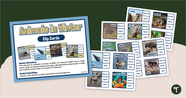 Go to Winter Animal Adaptations - Clip Cards teaching resource