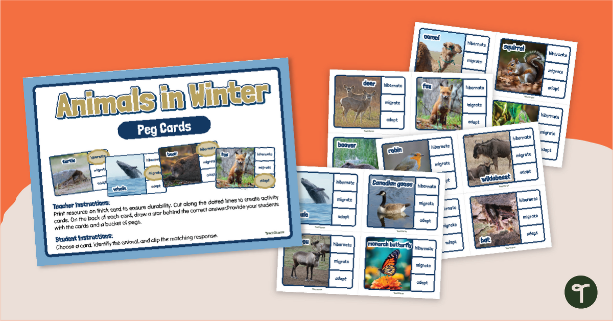 Winter Animal Adaptations - Peg Cards teaching resource