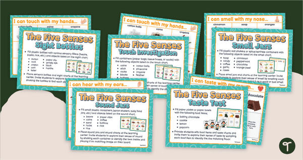 Go to Five Senses Science Stations teaching resource