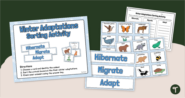 Go to Winter Survival Adaptations - Sorting Activity teaching resource