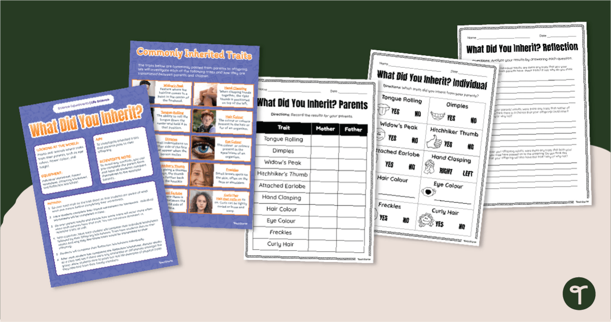 Human Inherited Traits Activity - Science Experiment teaching resource