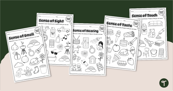 Go to Five Senses Colouring Worksheets teaching resource