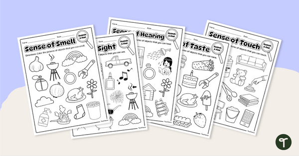 Go to Five Senses Coloring Worksheets teaching resource