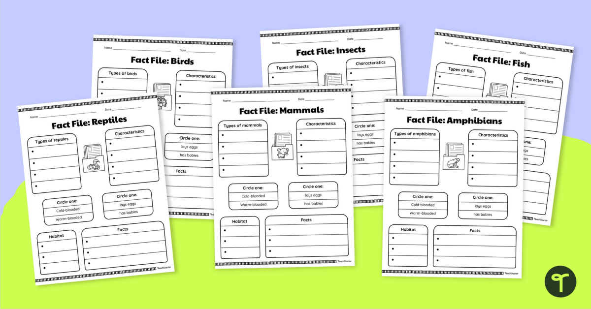 Animal Group Fact File Worksheets teaching resource