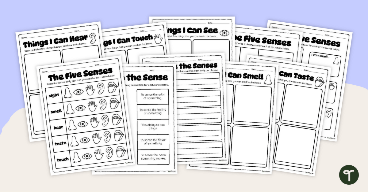 Five Senses Worksheet Pack teaching resource