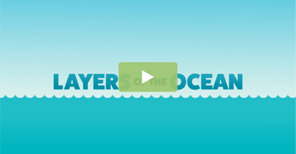 Go to Layers of the Ocean – Science Demonstration Video video