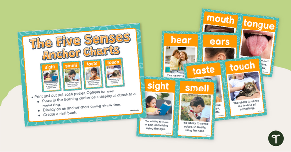 Go to Five Senses Anchor Charts teaching resource
