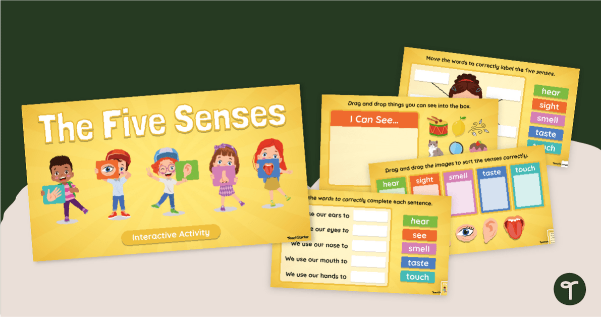 Five Senses Digital Resource - Drag & Drop teaching resource