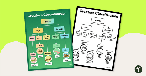 Go to Is It An Insect? Classification Chart Pack teaching resource