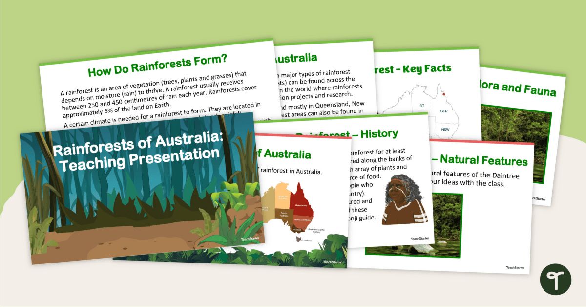 Rainforests of Australia - Teaching Presentation teaching resource