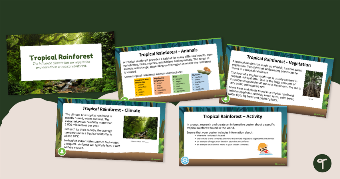 Tropical Rainforest PowerPoint teaching resource
