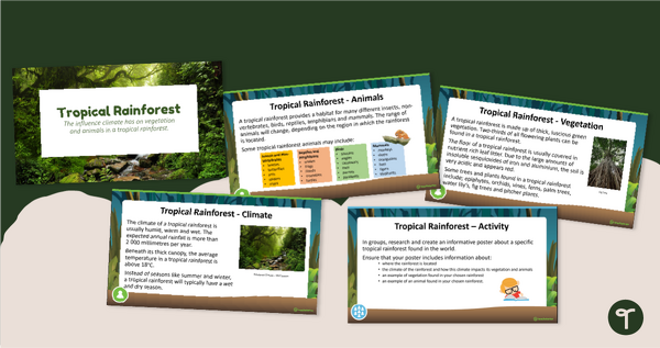 Go to Tropical Rainforest PowerPoint teaching resource