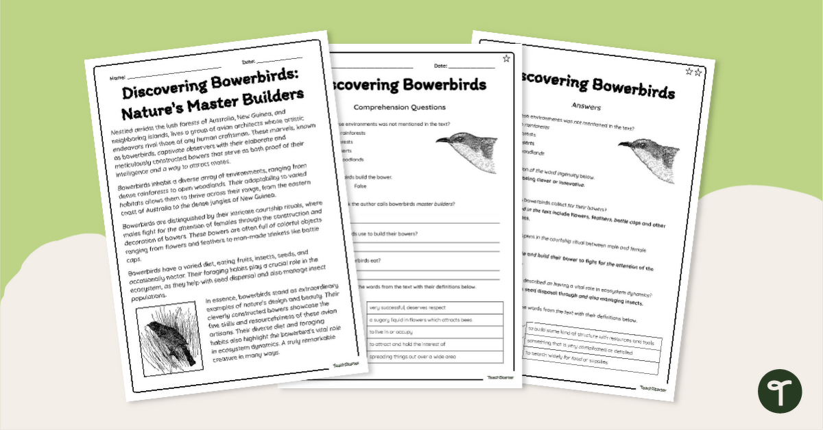 Bowerbird Comprehension Worksheets teaching resource