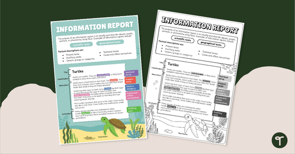 Go to Information Report Text Type Poster With Annotations teaching resource