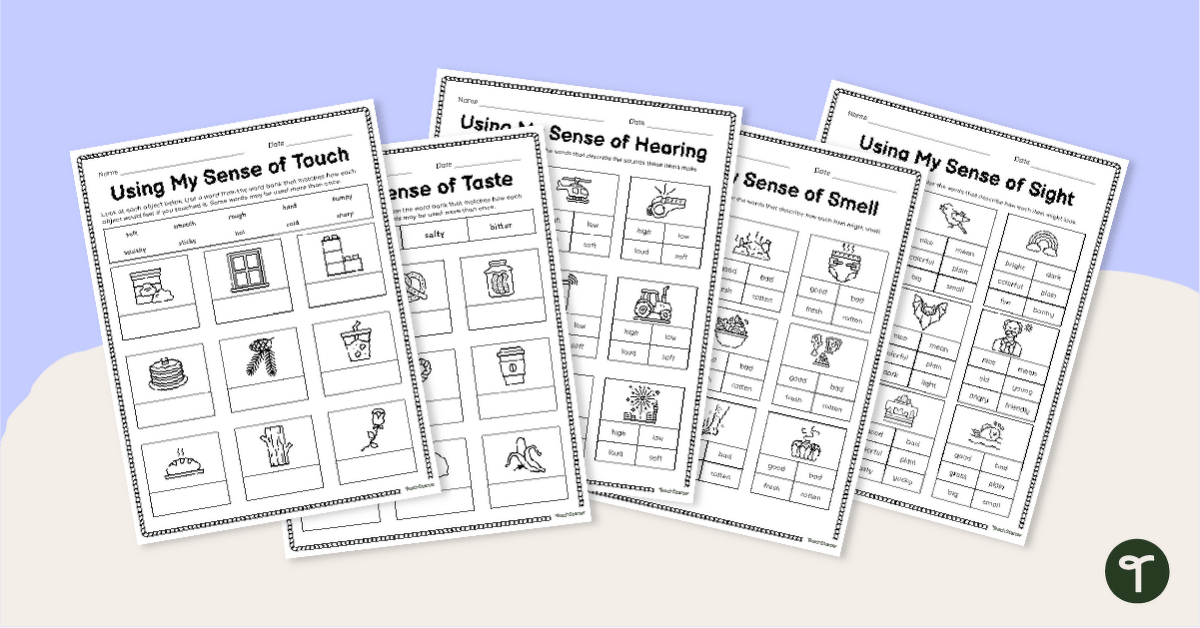 5 Senses Activity Sheets teaching resource