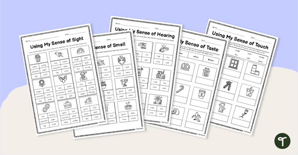 Go to 5 Senses Activity Sheets teaching resource