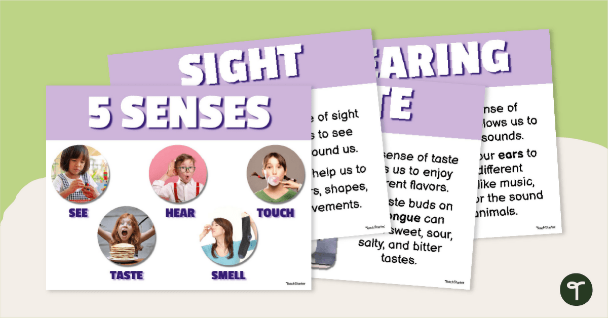 The 5 Senses Classroom Posters teaching resource