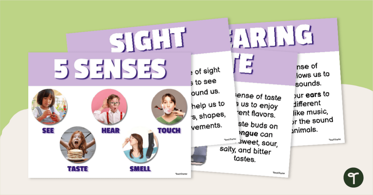 The 5 Senses Classroom Posters teaching-resource