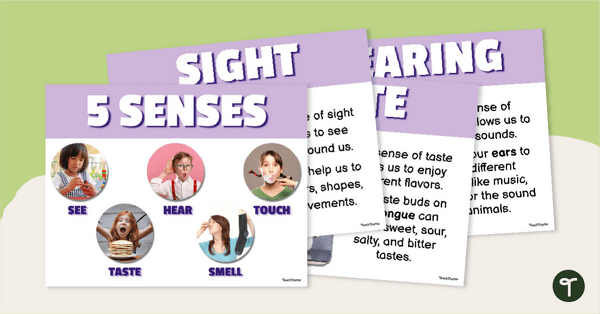 Go to The 5 Senses Classroom Posters teaching resource