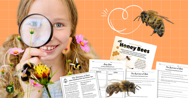 Go to 30 Buzzing Facts About Bees to Excite Kids About Nature blog