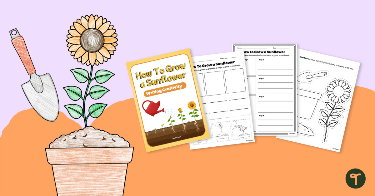 How to Grow A Sunflower – Procedural Writing Craftivity teaching resource