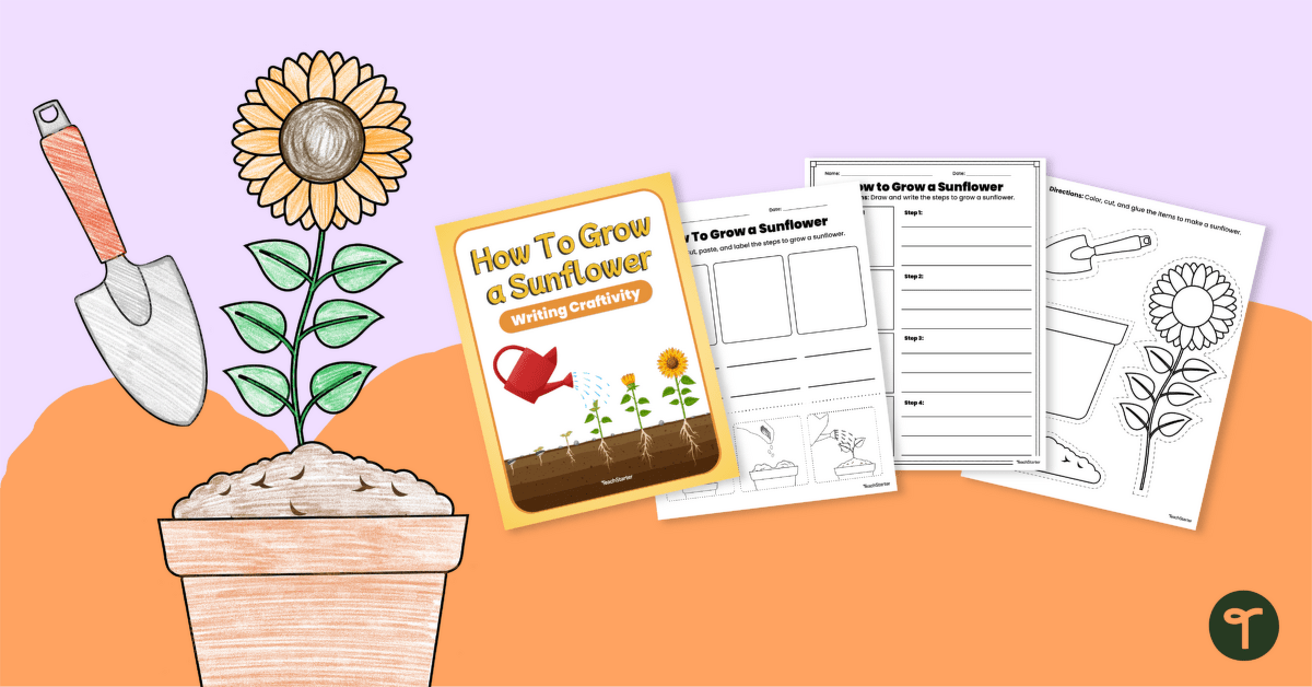 How to Grow A Sunflower – Procedural Writing Craftivity teaching-resource