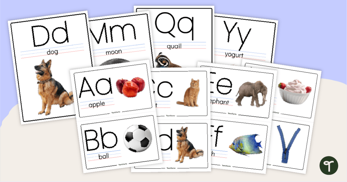 Ink-Friendly Classroom Alphabet Strip teaching resource