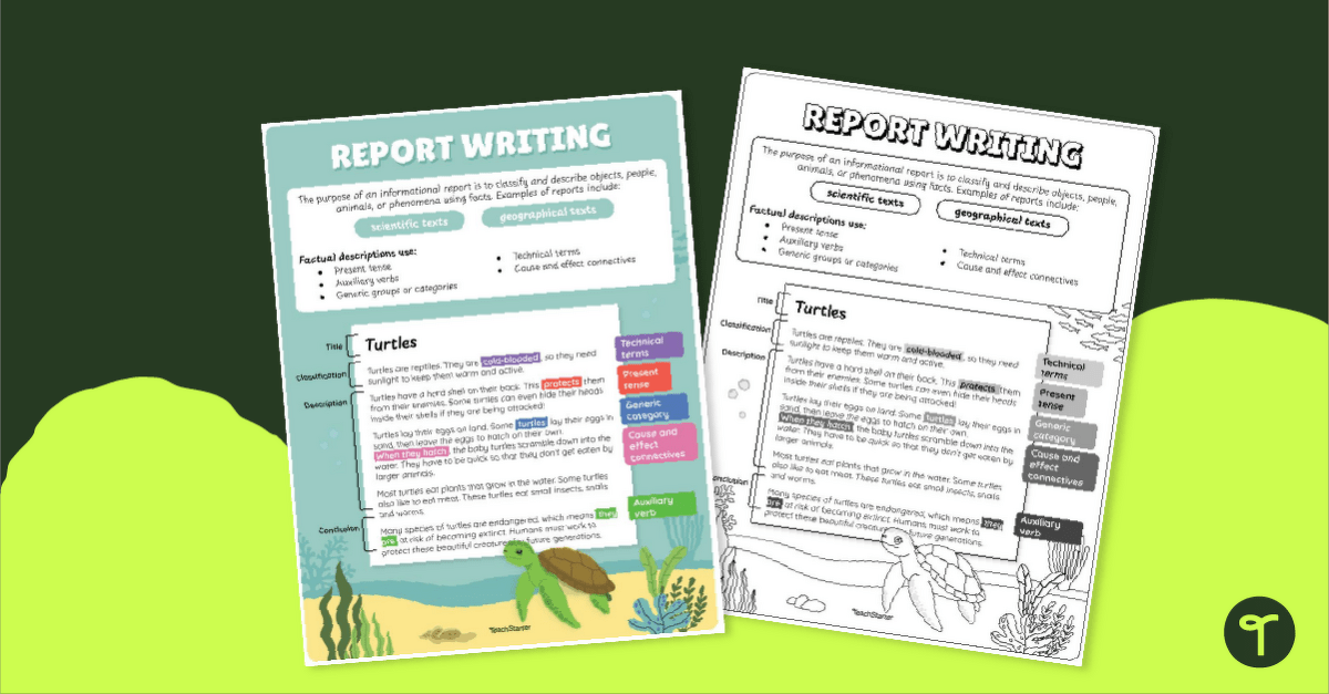 Report Writing Poster With Annotations teaching resource
