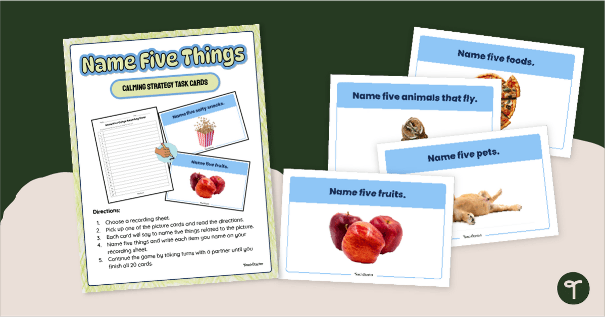 Name 5 Things - Calming Strategy Task Cards teaching resource