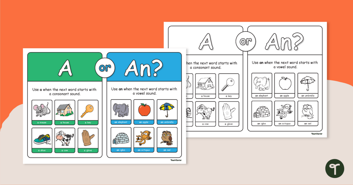 A Or An Poster Teach Starter
