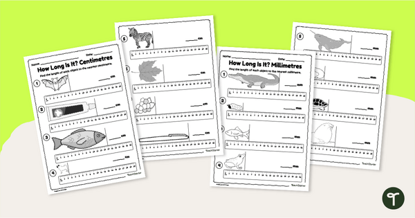 Go to CM & MM Measurement Worksheets - Year 3 teaching resource