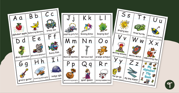 Go to Alphabet Flashcards teaching resource