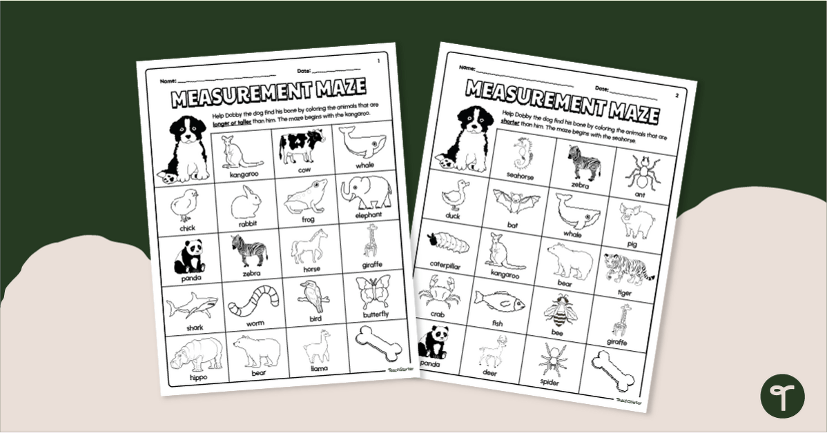 Measurement Maze Worksheets - Kindergarten teaching resource